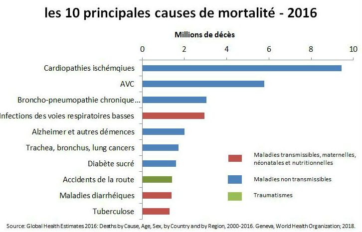 10-main-causes-death-2016-fr.jpg